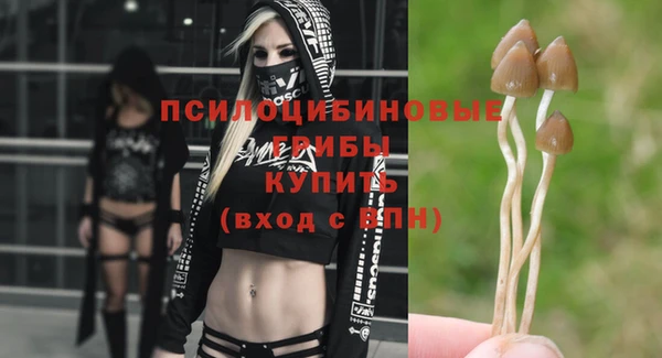 скорость Бронницы