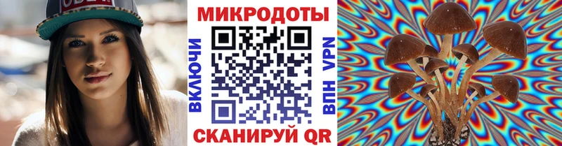 Псилоцибиновые грибы MAGIC MUSHROOMS  кракен   Шацк 